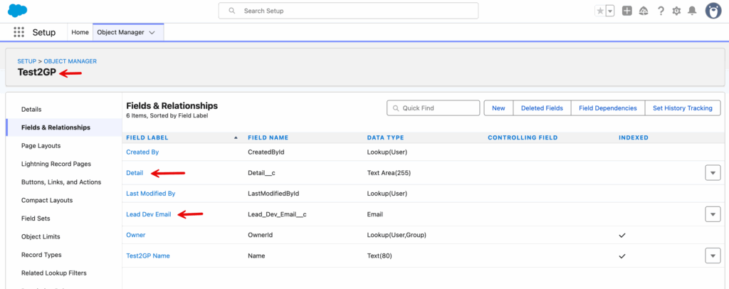 test2gp custom object