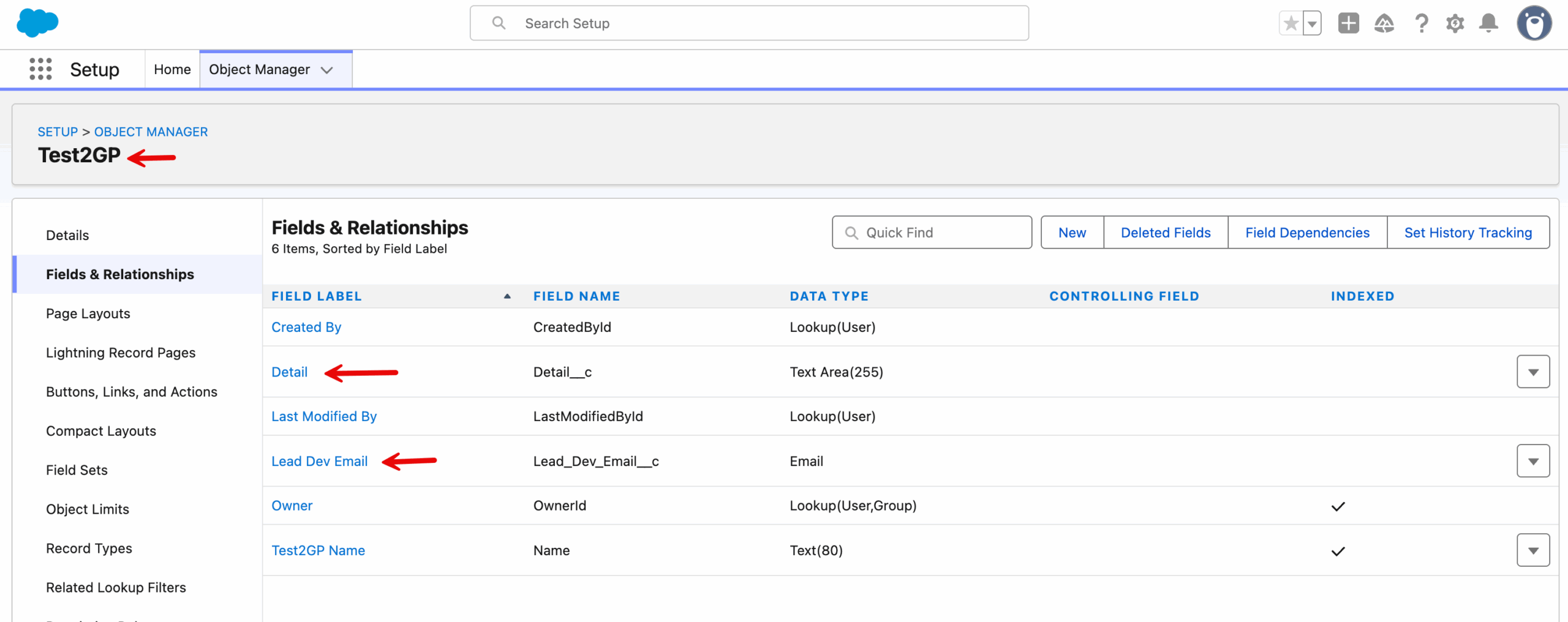 test2gp custom object
