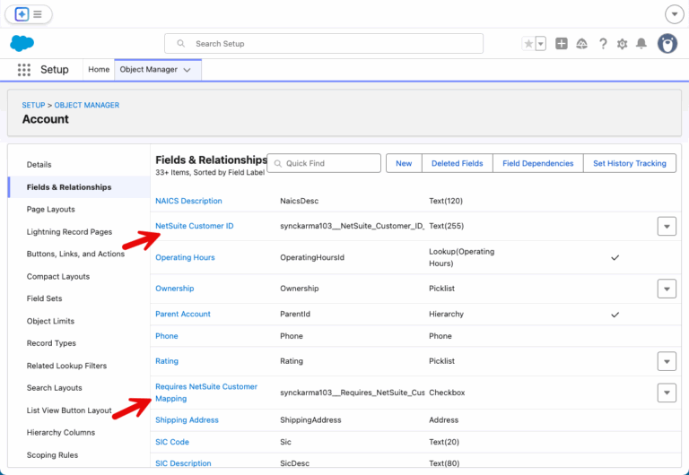 Account object with custom fields